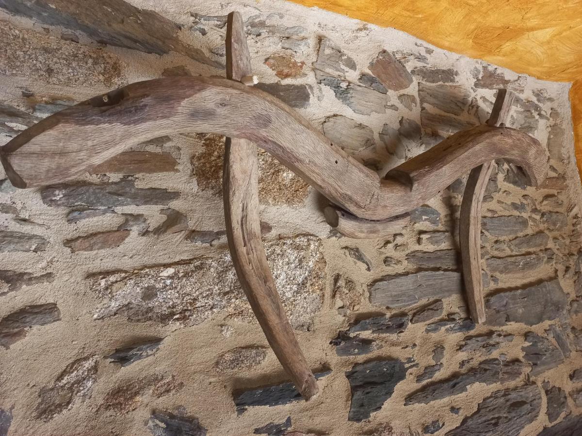 Santibanez el Bajo Casa Rural La Moraquintanaヴィラ エクステリア 写真
